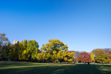 Naklejka premium NEW YORK, NEW YORK USA – NOVEMBER 24: Evening sunlight illuminates the Sheep Meadow and relaxing people at Central Park in autumn on November 24, 2021 in New York City NY USA.