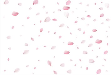 Sakura petals background. Cherry petals