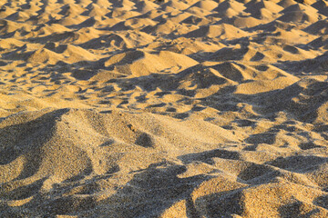 sand dunes in the desert