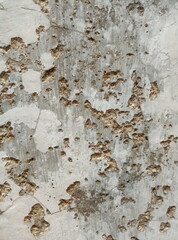 old wall