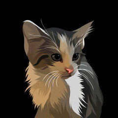 Cat vector pop art colorful