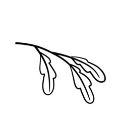 Branch of plant. Leaves in line style. Black and white natural illustration. Minimalism and simple flora.