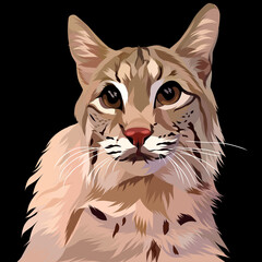 Dog vector pop art colorful