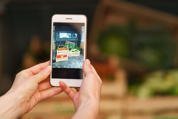 Crates full of fresh organic vegetables photo ready to be delivered to customers on phone screen