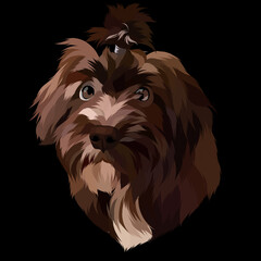 Dog vector pop art colorful