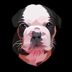 Dog vector pop art colorful