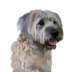 Dog vector pop art colorful white background