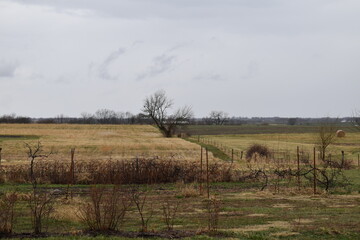 Farm Field with a Garden
