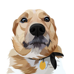 Dog vector pop art colorful white background