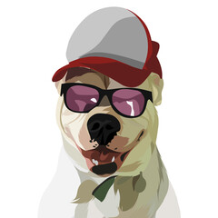Dog vector pop art colorful white background