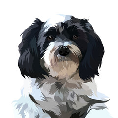 Dog vector pop art colorful white background