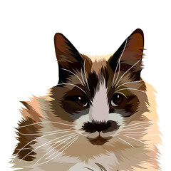 Dog vector pop art colorful white background