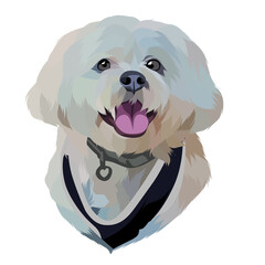 Dog vector pop art colorful white background