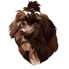 Dog vector pop art colorful white background