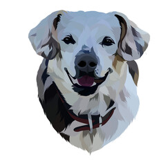 Dog vector pop art colorful white background