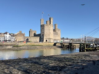 Fototapeta premium caernarfon castle harbor