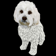 Dog vector pop art colorful transparent background