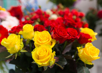 A beautiful bright bouquet of blooming fresh roses for a gift collected by an experienced florist