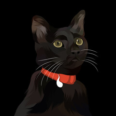 Dog pop art illustration black background