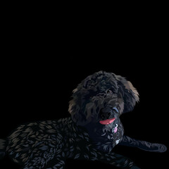 Dog pop art illustration black background