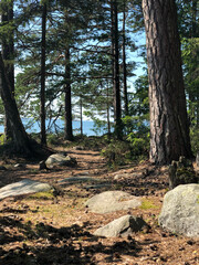 Årsta Havsbad, Horsfjärden, Stockholm, Haninge, Sweden, Scandinavia, Summer, Holidays, beach, nature, forest, trees, Kvarnvreten, northern europe, nordic