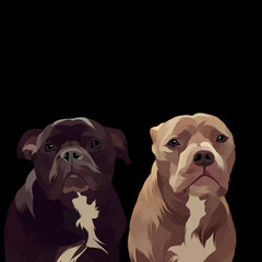 Dog pop art illustration black background