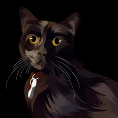 Dog and cat pop art black background