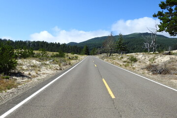 The scenic beauty of Cape Lookout Road in the Pacific Northwest, Siuslaw National Forest, Oregon.