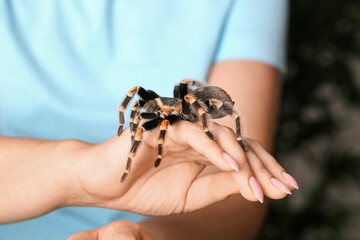 Woman with scary tarantula spider, closeup