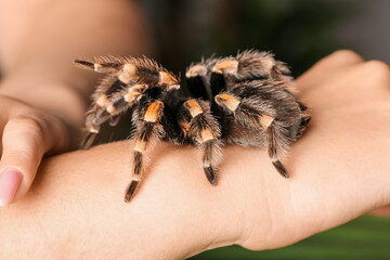 Woman with scary tarantula spider, closeup