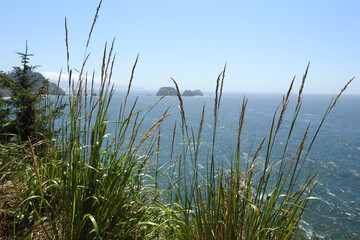 Scenic view from the Oregon Coast, Cape Meares, of the Three Arch Rocks National Wildlife Refuge, offshore islands, Tillamook County.