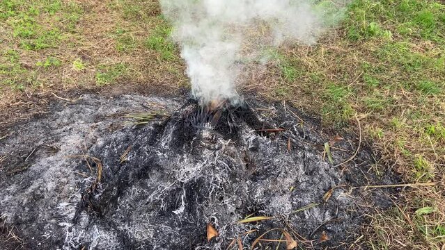 SLOW MOTION SHOT - Smoke caused by incineration. Burning agricultural waste, the easiest way to reduce or eliminate the volume of combustible materials produced by agricultural activities. 