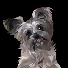 Dog and cat pop art illustration white background