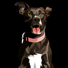 Dog and cat pop art illustration white background