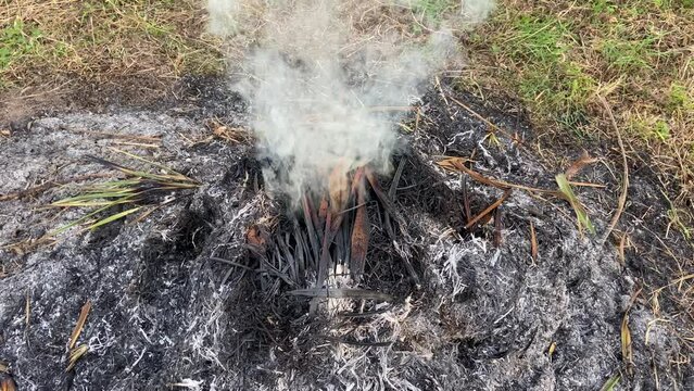 Smoke caused by incineration. Burning agricultural waste, the easiest way to reduce or eliminate the volume of combustible materials produced by agricultural activities. 