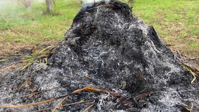 SLOW MOTION SHOT - Smoke caused by incineration. Burning agricultural waste, the easiest way to reduce or eliminate the volume of combustible materials produced by agricultural activities. 