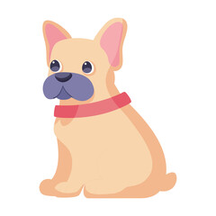 Isolated cute french bulldog dog breed cartoon Vector illustration