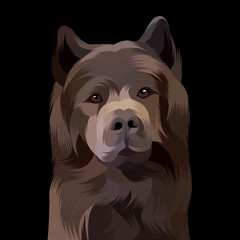 Dog and cat pop art illustration white background