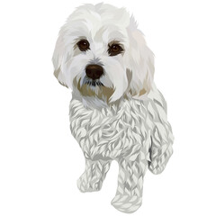 Dog and cat pop art illustration white background