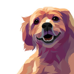 Dog and cat pop art illustration white background