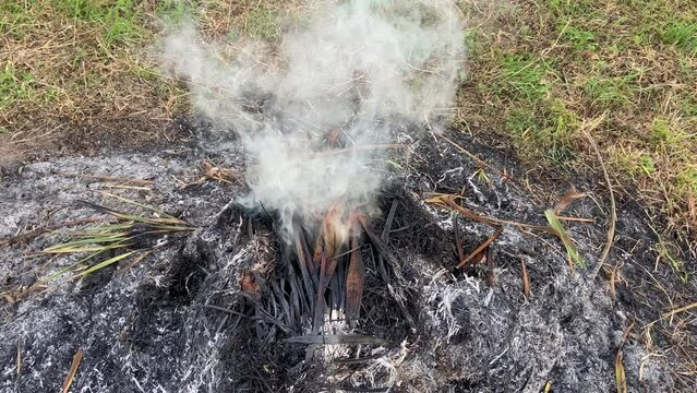 SLOW MOTION SHOT - Smoke caused by incineration. Burning agricultural waste, the easiest way to reduce or eliminate the volume of combustible materials produced by agricultural activities. 