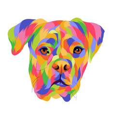 Animal vector colorful white background