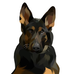 Animal vector colorful white background