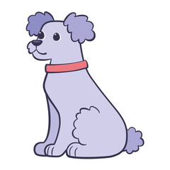 Isolated cute french poodle dog breed cartoon Vector illustration