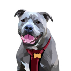 Animal vector colorful white background