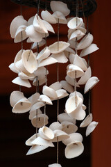 White sea shells of cockles and clams as a wind chime
