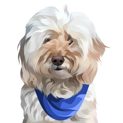 Animal vector illustration