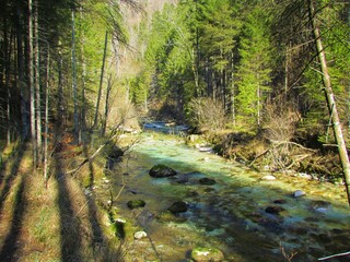 Fototapeta na wymiar Colorful Kamniska Bistrica river in Kamnik-Savinja alps, Slovenia on a sunny day surrounded by forest