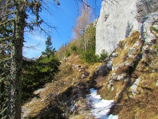 Path leading past an alpine landscape covered in rocks, dry grass and creeping pine and rockwall on the side in Slovenia