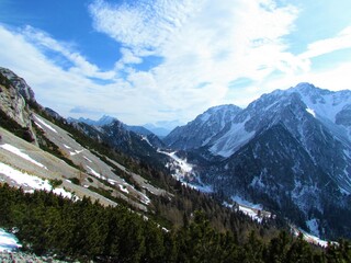 View of snow covered valley at Zelenica in Karavanke mountains in Gorenjska region of Slovenia with slopes covered in screes and creeping pine in front
